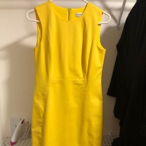 Calvin Klein Dress